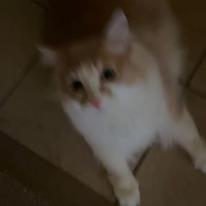 Meet your Posher, Seth